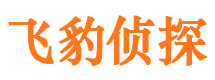 垫江外遇调查取证